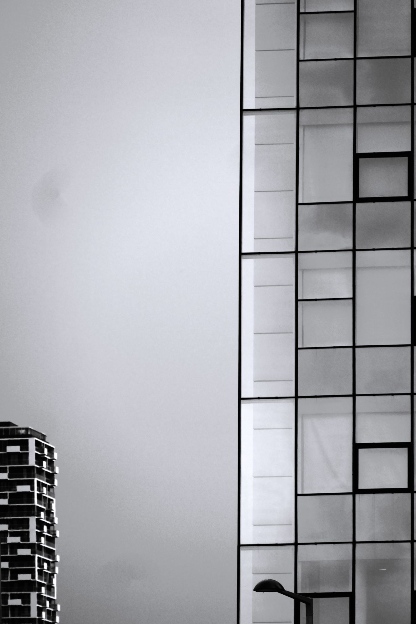 25 P Linien_Fritz Kleisch